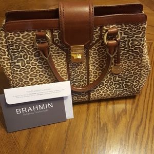 Brahmin Annabelle